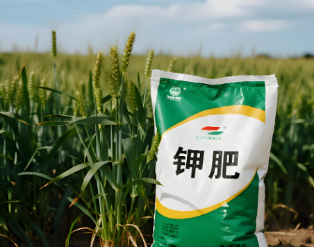 糧食安全的命脈：解析中美鉀鹽戰(zhàn)略，鉀資源成為國(guó)家戰(zhàn)略安全的重要支點(diǎn)