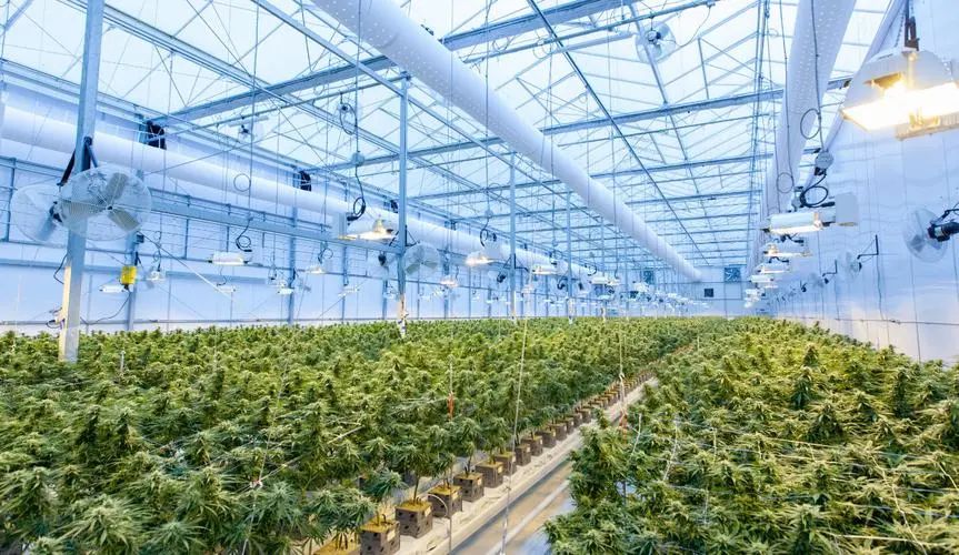 三農日報|政策：加快高端智能農機推廣應用；中國規模化養豬與家庭農場并存模式