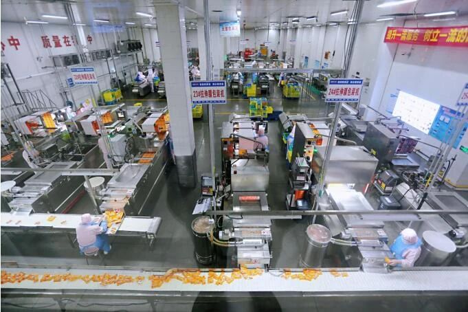 十大新農業發展模式：先跑起來，你就贏了