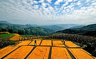 農(nóng)村土地改革能否保障老百姓的利益？