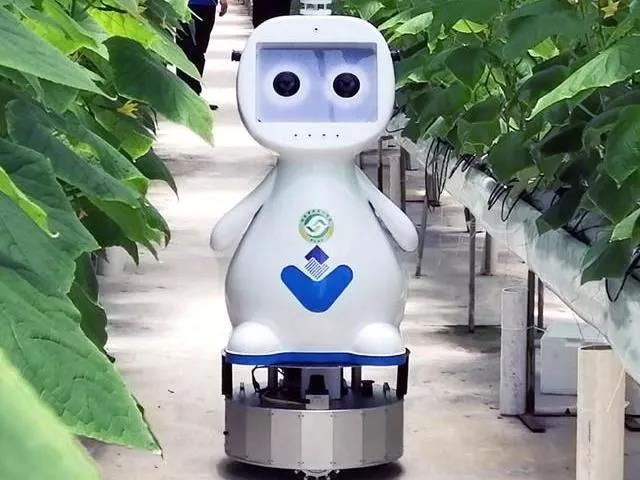三農日報|有機肥料：秸稈提煉技術的新出路；田園綜合體將是新農業的大方向