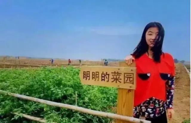重磅雄文|中國(guó)農(nóng)業(yè)顛覆已經(jīng)發(fā)生，應(yīng)該站在時(shí)代并思考著未來(lái)