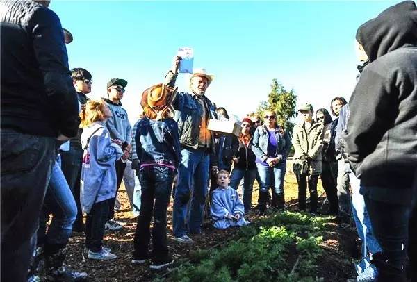 【實操案例】50畝地，2個人，年入百萬，這才是未來農業！