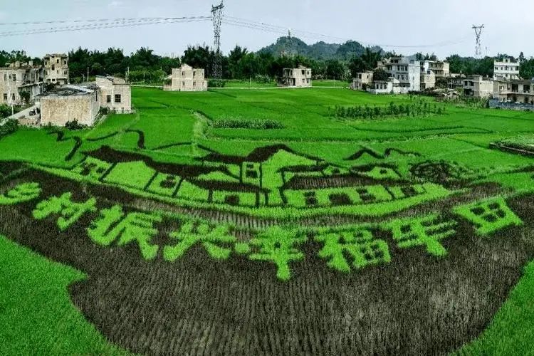 【科技賦能農業】京東七鮮啟動2022鄉村振興奔富計劃 ~