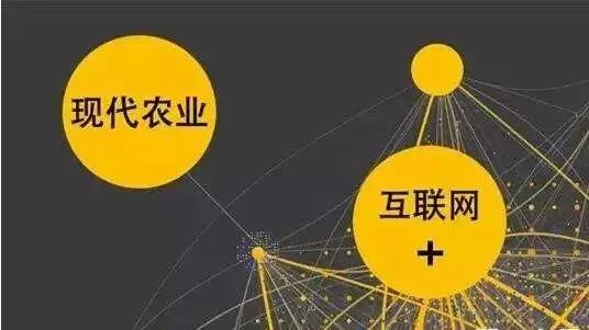 別瞎干！做農業要擅于借勢互聯網（附6個政策、5個創新玩法）