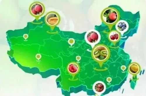 阿里拼多多們真能改變農業么？