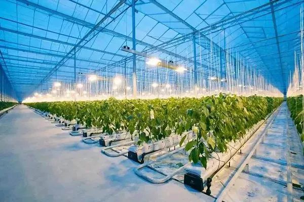 互聯網真的改造農業了么？又改造了什么？