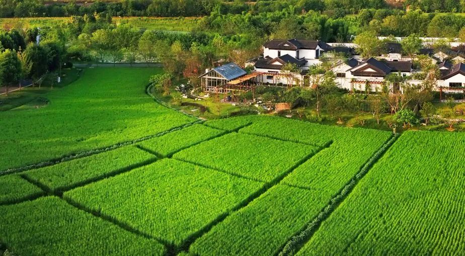 【案例剖析】有機農業-多利農莊有哪些值得我們借鑒的地方？